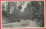 Rhenen Grebbeweg Photograph Old Postcard Forest Wood Path With People  Circulated  5 Cent Green Gull Nederland Stamp - Rhenen