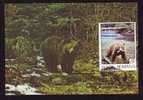 BEARS OURS    1993 MAXIMUN CARD   MAXICARD,ROMANIA. - Bears