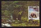 BEARS OURS    1993 MAXIMUN CARD   MAXICARD,ROMANIA. - Ours