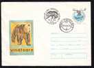 BEARS OURS VERY RARE PMK ON ENTIER POSTAUX COVER STATIONERY 1982 - Bären