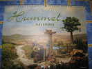 *HUMMEL KALENDER 2006*   -  FORMAT 390 X 300mm"- (Fotodesign :Léo SCHNEIDERHAHL HUMMELand MI HUMMELunter Lic.from GOEBEL - Grand Format : 2001-...