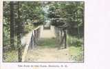 1120. Postal  HEDDING (New Hampshire), The Path To Te Fram - Altri & Non Classificati