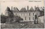 45 ARTENAY - Chateau D Auvilliers - Artenay