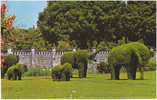 AK THAILAND ELEPHANTS MADE IJ LIVING-TREES AT BANG-PA-IN  PALACE NEAR AYUDHYA THAILAND  OLD  POSTCARD - Thaïlande