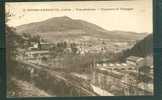 Bourg Argental - Vue Général Et Tannerie Et Tissages  Ds125 - Bourg Argental