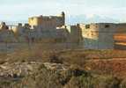 CHATEAU FORT DE SALSES (66) - Salses