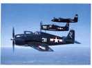 (020) War Airplane - Avion De Guerre - Hellcat - Bearcat - Tigercat - 1939-1945: 2ème Guerre