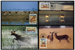 Zambia 1987 WWF W. W. F. Black Lechwe 4x MC Maximum Cards Gazella Fauna Animals Mammals - Cartoline Maximum