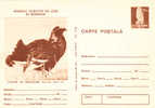 "Lyrurus Tetrix L.", Cock, Rooster , Grouse,1977 Entier Postal Card Postal Stationery  Romania. - Galline & Gallinaceo