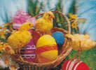 STEREOSCOPICHE 3D  Poulet  Easter Pasque Postcard - Stereoscopische Kaarten