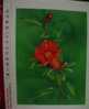 Folder Taiwan 1988 Flower Stamps Peony Pomegranate Lotus Flora Plant (4-2) - Unused Stamps