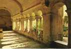 SAINT REMY DE PROVENCE : Intérieur Du Cloître De St Paul De Mausole - Saint-Remy-de-Provence