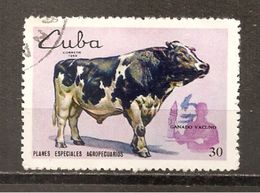 Cuba - Yvert  1339 (usado) (o) - Usati