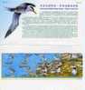 Folder 2002 Conservation Of Bird Stamps Tern Fauna Rock Migratory - Iles