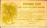 Us-PS018/ Weihnachtsbaum, Illustr. Werbung 1903 (Christmas Tree) - 1901-20