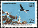 Inde. India. 1975.  Tantale Indien   (Mycteria Leucocephala) - Storks & Long-legged Wading Birds