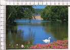 DAMPIERRE EN YVELINES  -  Parc FLoral Du Château  -  Château Vu Depuis Le Parc Floral - Dampierre En Yvelines