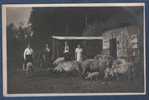 CARTE PHOTO ANIMEE A LOCALISER - ELEVAGE DE PORCS DANS UNE FERME - COCHONS - AU DOS : AOUT 1939 - Farms