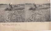 CARTE POSTALE GUERRE 1914 VUE STEREO Projectiles Laissés Par Les Allemands - Estereoscópicas