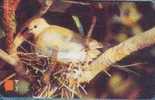 # OMAN 75 Palm Dove 3 Gpt 01.97 -oiseaux,birds- Tres Bon Etat - Oman
