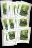 ZAIRE 1984  OKAPIS Blocs Dessinés Par BUZIN - -  Lot De 100 Blocs **   Mint NH  Postfrich - Unused Stamps