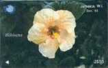 # JAMAIQUE 11 Hibicus $50 Gpt 12.93  -fleurs,flowers- Tres Bon Etat - Giamaica