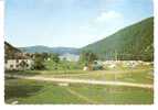 XONRUPT LONGEMER   -   LA FERME Et  LE CAMPING " LES JONQUILLES "   -   Editeur : PHOTO BARIN De Gerardmer  N°169 - Xonrupt Longemer