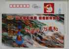 Wenhe White Spirit,mountain Waterfall,China 2004 Wenhe Group New Year Greeting Advertising Postal Stationery Card - Vins & Alcools