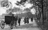 PARIS   BOIS DE BOULOGNE   FIACRE   ATTELAGE - Taxis & Cabs