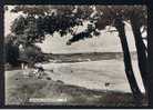 RB 617 - Real Photo Postcard - Lydstep Bay Near Tenby Pembrokeshire Wales - Pembrokeshire