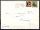 Annee 1956  Courrier Pour HOUILLES  Avec Affranchissement Compose De 2 Timbres - Covers & Documents