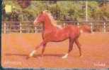 # OMAN A13 Horse - Massad 3 Gpt  -animal,cheval,horse-   Tres Bon Etat - Oman