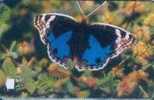 # OMAN A5 Butterfly - Blue Pansy (blue) 3 Gpt -papillon,butterfly-   Tres Bon Etat - Oman