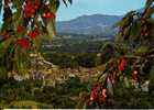 CERET - Vue Générale - Ceret