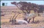 # OMAN 78 Arabian Oryx 1,5 Gpt 01.97 -animal-  Tres Bon Etat - Oman