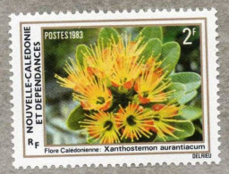 NOUVELLE-CALEDONIE :Flore : Xanthostemon Aurantiacum - Myrtaceae - Neufs