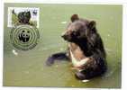 ANIMAL / OURS  BEAR  / CARTE MAXIMUM / PAKISTAN - Bears