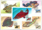 Russia USSR 1983 MC X5 Fish Fishes Fauna, Maximum Cards - Cartoline Maximum