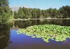 Lac De CRENO - Sartene