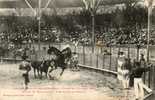 CPA - 31 - TOULOUSE - Plazza Des Amidonniers - Course Du 2 Juillet 1905 - Une Chute De Picador - Coins Arrondis  - 624 - Toulouse