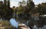 SEICHES SUR LE LOIR LES BORDS DU LOIR A MATHEFLON - Seiches Sur Le Loir