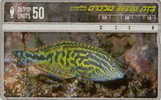 # ISRAEL 154 Macropharyngodon Bipartitus Fish 50 Landis&gyr 03.97 -poisson,fish-  Tres Bon Etat - Israël