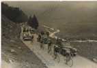 P 140 -PHOTO Dédicassé Par Malhaise, Stablinski ,Platil -  Le 27 8 7 57 - - Cycling