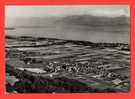 BURSINS Le Lac Léman Et Les Alpes. Vue Aérienne. - Bursins