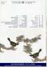 Folder Taiwan 2003 Ancient Chinese Bird Manual Painting Stamps Fauna Flower - Nuevos