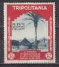 Z3833 - COLONIE ITALIANE TRIPOLITANIA SASSONE N°96 * - Tripolitania