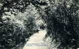 BRUXELLES-SCHAERBEEK.  - Vallée Josaphat.  -  L´Ancien Chemin  - 1907 - - Forêts, Parcs, Jardins