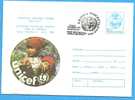 For Children UNICEF ROMANIA Postal Stationery  Cover 1995. - UNICEF