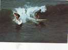 Zs3929 Surfing In Waikiki In Southern California  Used Perfect Shape - Wasserski