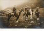 CPA - 31 - Carte-Photo Les 3 Meilleurs Chevaux D'une Des écuries De LUCHON - 721/22 - Luchon